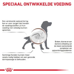 Royal Canin Gastrointestinal High Fibre Hond -Nieuwe Pootjes 0RfT5GcYlB6CwXEOcIf67bsir9yZhq metaR0FTVFJPSU5URVNUSU5BTC1ISUdILUZJQlJFLTMuanBn