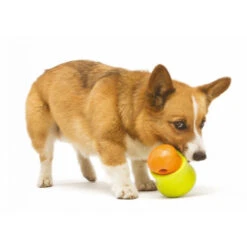 Zogoflex Toppl - Treat Toy -Nieuwe Pootjes 0cJe9jR88p4kg2k2eS0t6102tBKRW4 metaVG9wcGwtaG9uZC16bC5qcGc