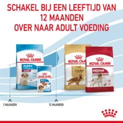 Royal Canin Medium Puppy - Hondenvoer -Nieuwe Pootjes 1KYDErOU2XehkVhShMVsT8Z131C9H5 metaUm95YWwtQ2FuaW4tUHVwcHktTWVkaXVtXzA2LmpwZw
