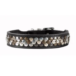 Hunter Halsband Arizona -Nieuwe Pootjes 20a19f8ec79c10e4c8a76cbcf811160fbf8ceb4f93697630f1a1912ad6ac40a1 4