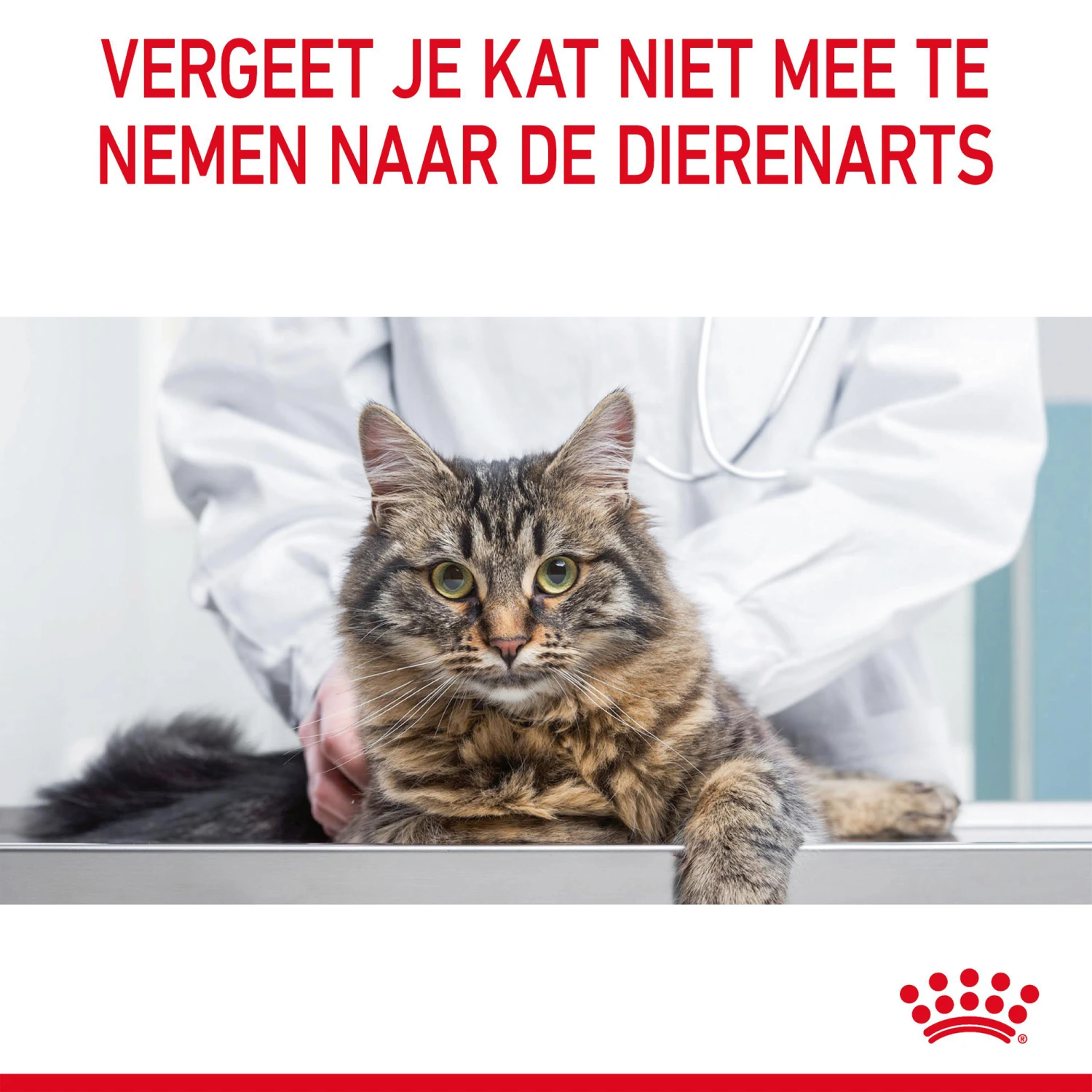 Royal Canin Appetite Control Care In Gravy 14 Royal Canin Appetite Control Care In Gravy - Afbeelding 12