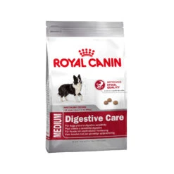 Royal Canin Medium Digestive Care - Hondenvoer -Nieuwe Pootjes 4257719c7856953238e95098f178e79829d50f7f412c34b908892409f8a7575f 3