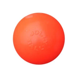 Jolly Bounce-n-Play -Nieuwe Pootjes 808996a2beb99e6a71c3dfb3f5e26cc7f07d87eee79b4d7953e71120bea95ca3 5