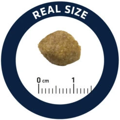 Affinity Advance Veterinary Diets Urinary Hond -Nieuwe Pootjes affinity advance veterinary diets urinary hond 177694 0500 none