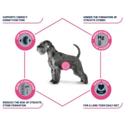 Affinity Advance Veterinary Diets Urinary Hond -Nieuwe Pootjes affinity advance veterinary diets urinary hond 177715 1500 none