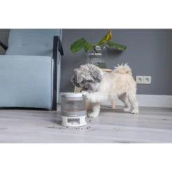 Beeztees Brain Game Delicious -Nieuwe Pootjes beeztees brain game delicious 221763 2000 none