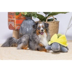 Beeztees Hide And Seek Schildo -Nieuwe Pootjes beeztees hide and seek schildo 221787 2000 none