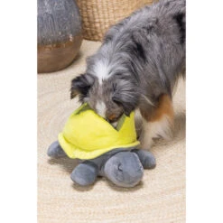 Beeztees Hide And Seek Schildo -Nieuwe Pootjes beeztees hide and seek schildo 221788 2000 none