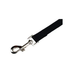 Beeztees Nylon Sliplijn -Nieuwe Pootjes beeztees nylon hondenriem 198527 2000 none