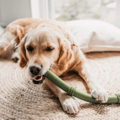 Beeztees Sumo Fit Stick 10 Beeztees Sumo Fit Stick -Nieuwe Pootjes beeztees sumo fit stick 178435 1000 none