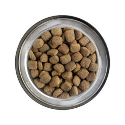 Belcando Adult Dinner -Nieuwe Pootjes belcando adult diner 217592 1000 none