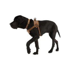 Carhartt Work Dog Harness -Nieuwe Pootjes carhartt work dog harness 186805 1000 none