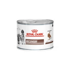 Royal Canin Recovery -Nieuwe Pootjes cca7b4865eba8e717727e64fa5319b72f434cc45214342537b11b8d75e35590d 3 5