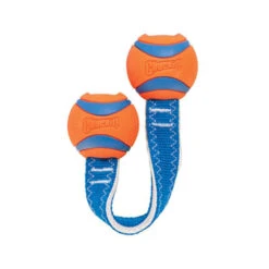 Chuckit! Ultra Duo Tug -Nieuwe Pootjes chuckit ultra duo tug 122954 0500 none