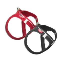 Curli Magnetic Vest Harness 24 Curli Magnetic Vest Harness -Nieuwe Pootjes curli magnetic vest harness 136330 1000 none
