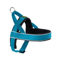 Hunter Norweger Hondentuig 13 Hunter Norweger Hondentuig -Nieuwe Pootjes d810aacccb8e8fd9deea9968bc5f720c6922825a556ced149423330c78f5c8ae 3