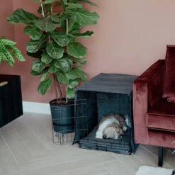 District 70 Crate Bench Hoes -Nieuwe Pootjes district 70 crate cover 191152 0500 none