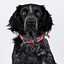 DWAM Halsband Boho Rosa -Nieuwe Pootjes dwam halsband boho rosa 133649 2000 none