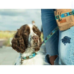 DWAM Hondenriem Boho Juan -Nieuwe Pootjes dwam hondenriem boho juan 135979 1000 none