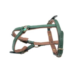 DWAM Hondentuigje Ivy -Nieuwe Pootjes dwam hondentuigje ivy 182737 1000 none