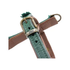 DWAM Hondentuigje Ivy -Nieuwe Pootjes dwam hondentuigje ivy 182740 1000 none