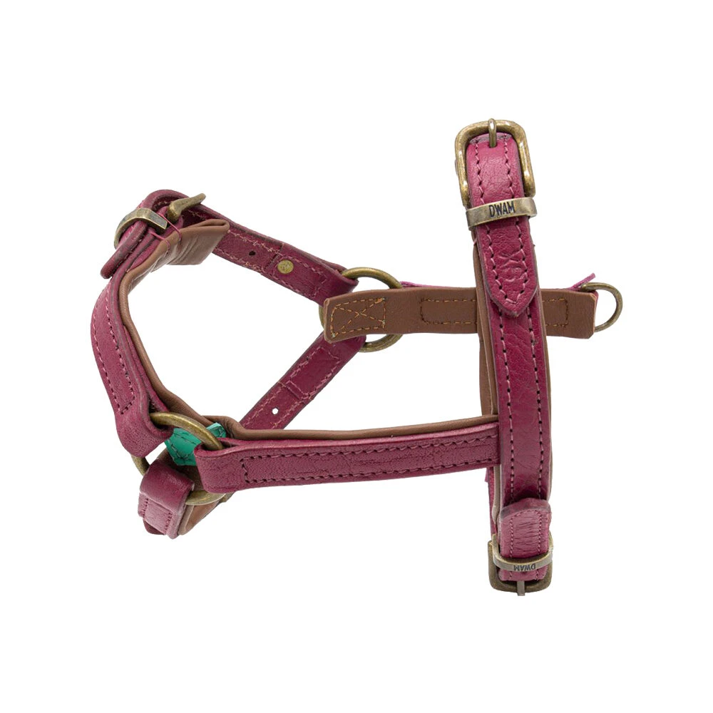 DWAM Hondentuigje Lou Lou 7 DWAM Hondentuigje Lou Lou - Afbeelding 5