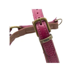 DWAM Hondentuigje Lou Lou 16 DWAM Hondentuigje Lou Lou -Nieuwe Pootjes dwam hondentuigje lou lou 182158 1000 none