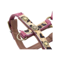 DWAM Hondentuigje Lou Lou 17 DWAM Hondentuigje Lou Lou -Nieuwe Pootjes dwam hondentuigje lou lou 182161 1000 none