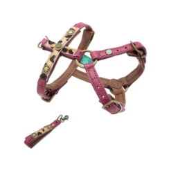 DWAM Hondentuigje Lou Lou 14 DWAM Hondentuigje Lou Lou -Nieuwe Pootjes dwam hondentuigje lou lou m 109759 1000 none