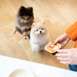 Edgard & Cooper Adult - Kip & Kalkoen - Kuipje -Nieuwe Pootjes edgard cooper adult kip kalkoen kuipje 168597 2000 none