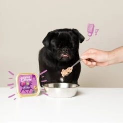 Edgard & Cooper Adult - Wild & Eend - Kuipje -Nieuwe Pootjes edgard cooper adult wild eend kuipje 168648 1000 none