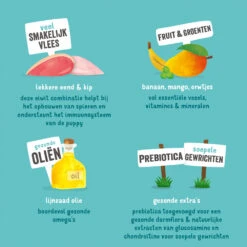 Edgard & Cooper Puppy - Eend & Kip - Blik -Nieuwe Pootjes edgard cooper puppy eend kip blik 168591 1000 none