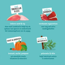 Edgard & Cooper Puppy - Eend & Kip - Kuipje 18 Edgard & Cooper Puppy - Eend & Kip - Kuipje -Nieuwe Pootjes edgard cooper puppy eend kip kuipje 168675 1000 none