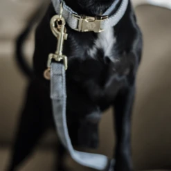 Kentucky Dogwear Hondenlijn Wool -Nieuwe Pootjes ejrjoyb8lNCNJUWqzyDtR4feCTIyNI metaS2VudHVja3ktRG9nd2Vhci1Ib25kZW5saWpuLVdvb2wtbGljaHRibGF1dy1kZXRhaWwucG5n