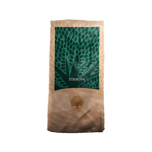 Essential Foods - Stamina 3 Essential Foods - Stamina