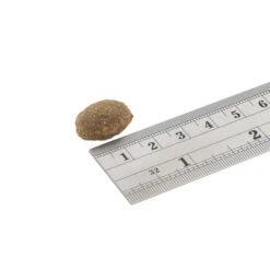 Fish4Dogs Finest Adult Complete - Sardine Grote Brok -Nieuwe Pootjes fish4dogs finest adult complete sardine grote brok 160928 1000 none