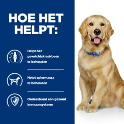 Hill's J/d Joint Care - Prescription Diet - Canine 10 Hill's J/d Joint Care - Prescription Diet - Canine -Nieuwe Pootjes hills jd joint care prescription diet canine 218018 2000 none