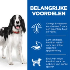 Hill's Science Plan - Medium Adult Dog -Nieuwe Pootjes hills science plan adult medium lamb 218886 0500 none