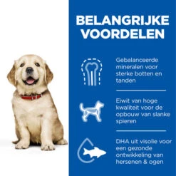 Hill's Science Plan - Large Puppy -Nieuwe Pootjes hills science plan puppy large chicken 218508 0500 none