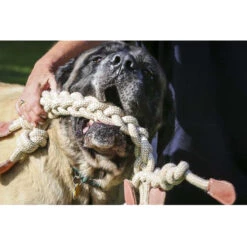 HuggleHounds Rope Knotties Monkey -Nieuwe Pootjes hugglehounds rope knotties monkey 214157 0500 none