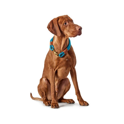 Hunter Halsband Oss 18 Hunter Halsband Oss - Afbeelding 16