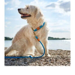 Hunter Verstelbare Riem Oss 25 Hunter Verstelbare Riem Oss -Nieuwe Pootjes hunter verstelbare riem oss 116580 0500 none