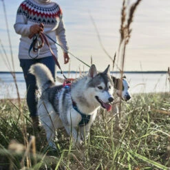 Hurtta - Weekend Warrior Winter Harnas - Bilberry -Nieuwe Pootjes hurtta weekend warrior winter harnas bilberry 216605 1500 none