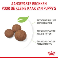 Royal Canin Medium Puppy - Hondenvoer -Nieuwe Pootjes kJU8vVblOAgxigcYgUmBhANThzhhQA metaUm95YWwtQ2FuaW4tUHVwcHktTWVkaXVtXzA1LmpwZw