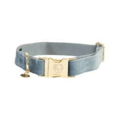 Kentucky Dogwear Velvet Hondenhalsband -Nieuwe Pootjes kentucky dogwear velvet licht blauw xs 25 38 cm 134929 0500 none