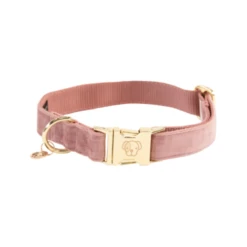 Kentucky Dogwear Velvet Hondenhalsband -Nieuwe Pootjes kentucky dogwear velvet oud roze xxs 18 26 cm 134934 0500 none