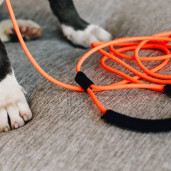 Kentucky Dogwear Sleeplijn Soft Rubber -Nieuwe Pootjes kentucky dogwear sleeplijn soft rubber 219203 0500 none