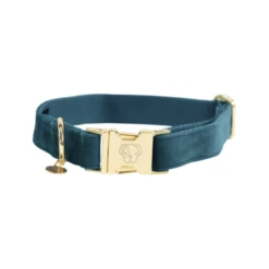 Kentucky Dogwear Velvet Hondenhalsband -Nieuwe Pootjes kentucky dogwear velvet hondenhalsband 219231 0500 none