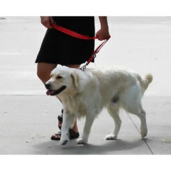 KONG Adjustable Leash -Nieuwe Pootjes kong adjustable leash zwart 176941 1000 none