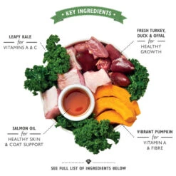 Lily's Kitchen Puppy - Blik - Kalkoen, Eend En Boerenkool -Nieuwe Pootjes lilys kitchen puppy kalkoen eend en boerenkool 202271 1000 none